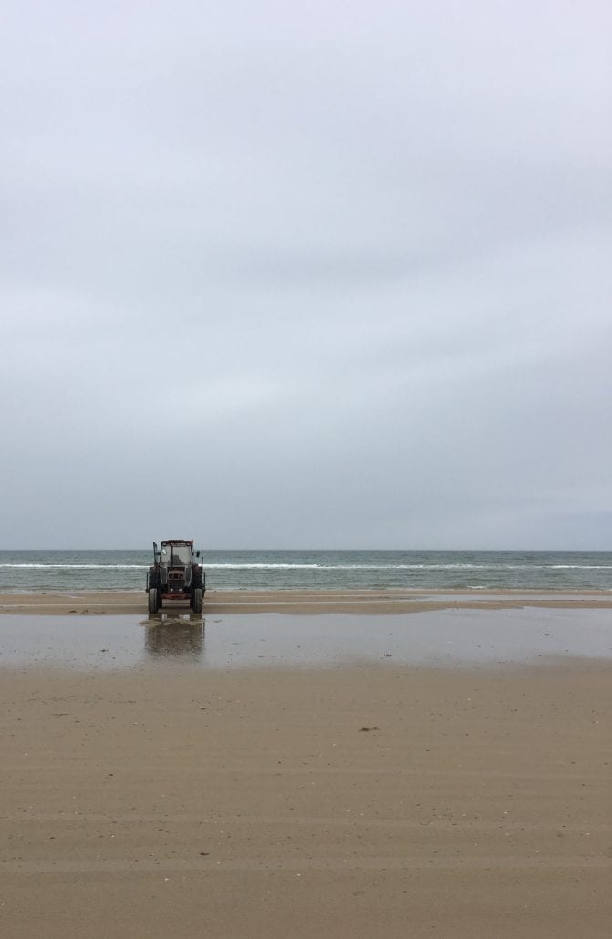 BlokhusStrand2017
