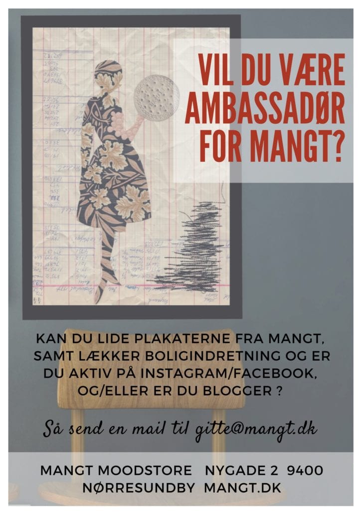 VIL DU VÆRE AMBASSADØR FOR MANGT?